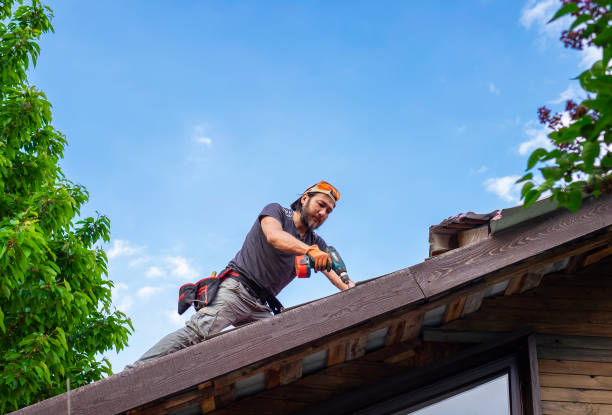 Best Roof Maintenance and Cleaning  in Yorkshire, VA
