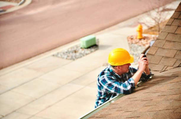 Best Roof Moss and Algae Removal  in Yorkshire, VA